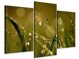 modern-3-piece-canvas-print-dew-in-the-morning