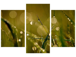 modern-3-piece-canvas-print-dew-in-the-morning