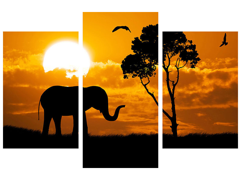 modern-3-piece-canvas-print-dreamy-africa