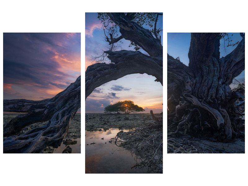 modern-3-piece-canvas-print-dry