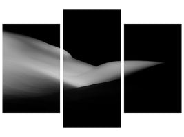 modern-3-piece-canvas-print-elephant-sleeping-a-white-dream