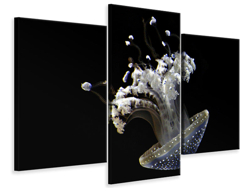 modern-3-piece-canvas-print-fascinating-jellyfish