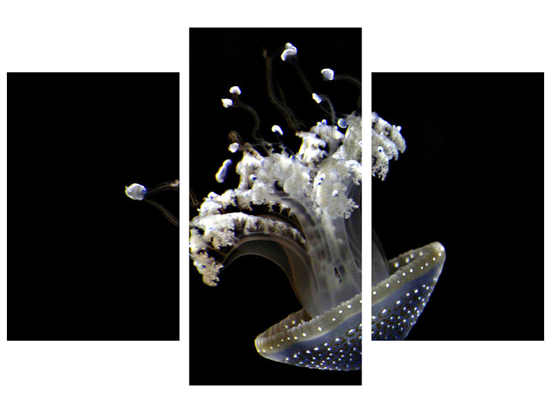 modern-3-piece-canvas-print-fascinating-jellyfish