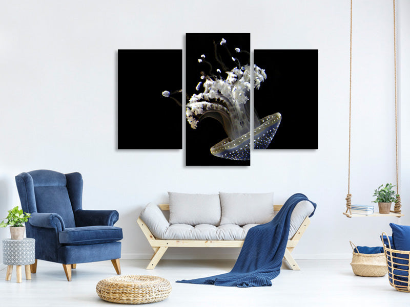 modern-3-piece-canvas-print-fascinating-jellyfish