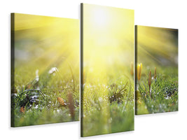 modern-3-piece-canvas-print-flowery-meadow