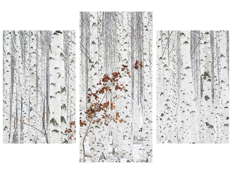 modern-3-piece-canvas-print-from-white