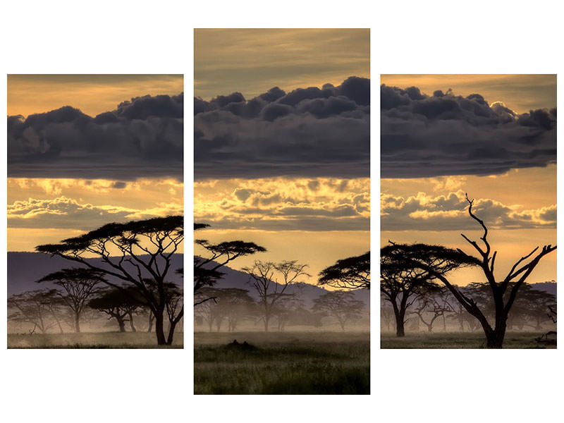 modern-3-piece-canvas-print-good-evening-tanazania