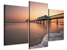 modern-3-piece-canvas-print-ice-age