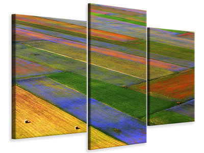 modern-3-piece-canvas-print-la-coperta