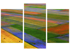 modern-3-piece-canvas-print-la-coperta