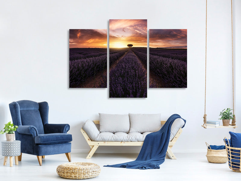 modern-3-piece-canvas-print-lavender-sunset