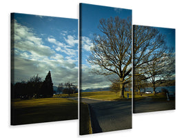 modern-3-piece-canvas-print-loch-lomond
