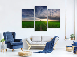 modern-3-piece-canvas-print-loner-in-the-sun