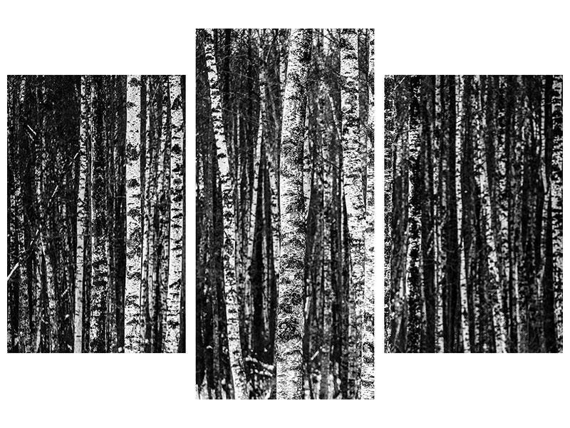 modern-3-piece-canvas-print-many-birches-xl