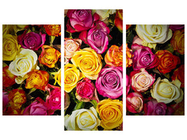 modern-3-piece-canvas-print-many-colorful-rose-petals