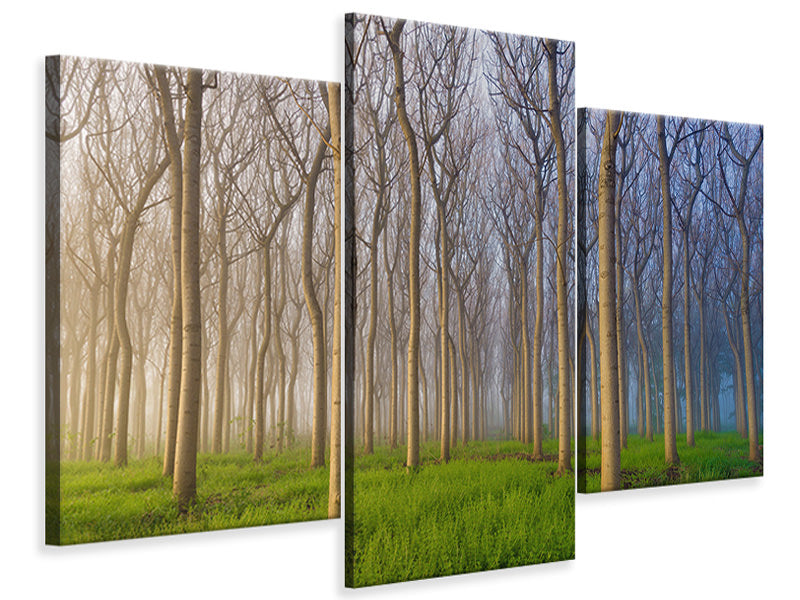 modern-3-piece-canvas-print-morning-of-the-forest