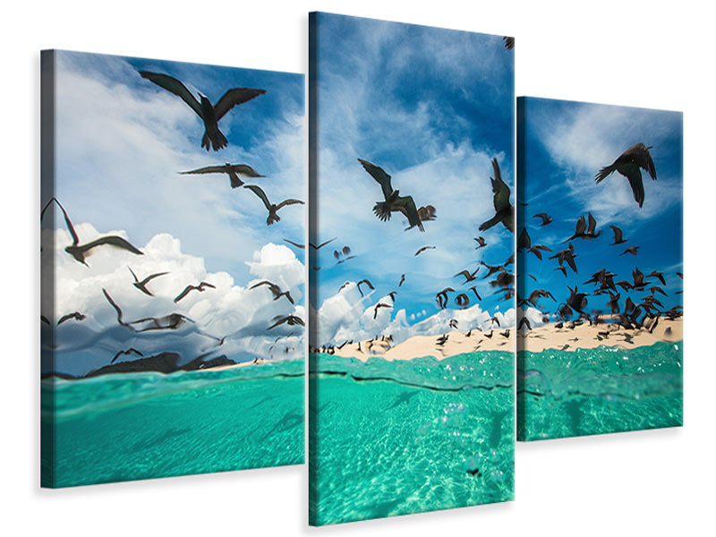 modern-3-piece-canvas-print-ocean-bird