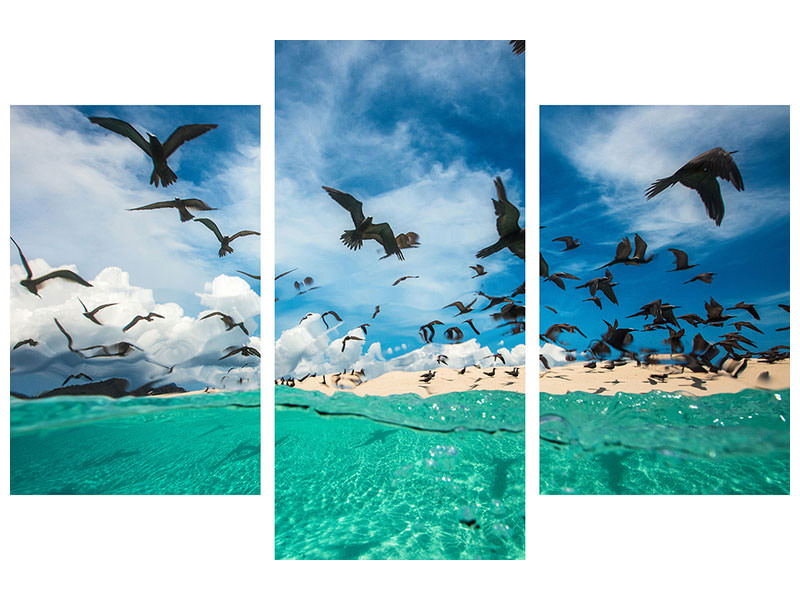 modern-3-piece-canvas-print-ocean-bird