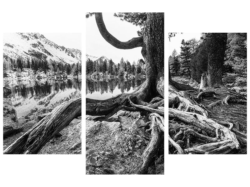 modern-3-piece-canvas-print-old-tree