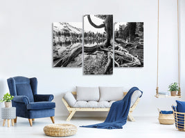 modern-3-piece-canvas-print-old-tree