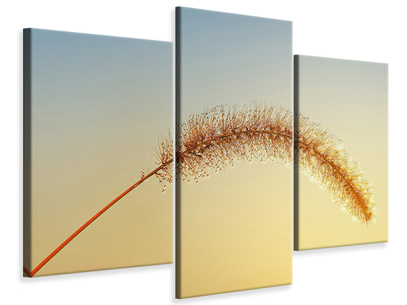 modern-3-piece-canvas-print-ornamental-grass-in-xxl