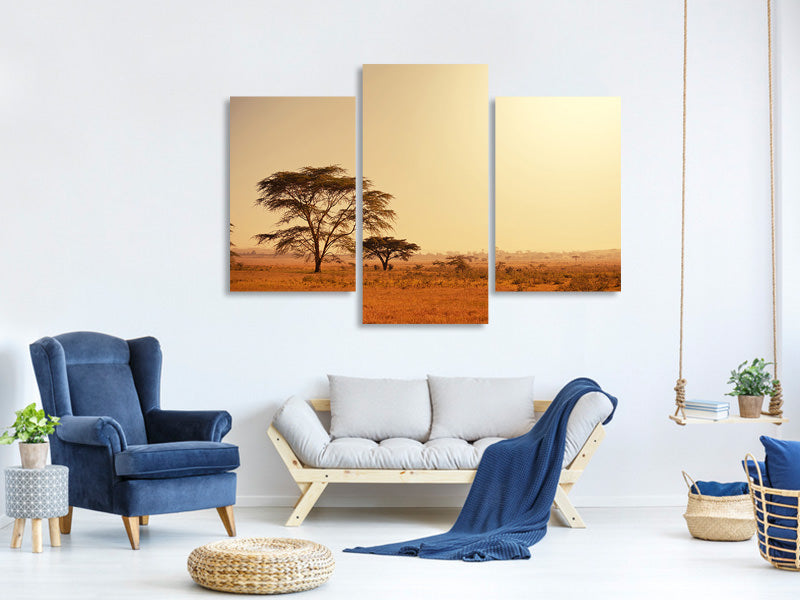 modern-3-piece-canvas-print-pastures-in-kenya