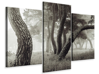 modern-3-piece-canvas-print-pine-grove-in-fog