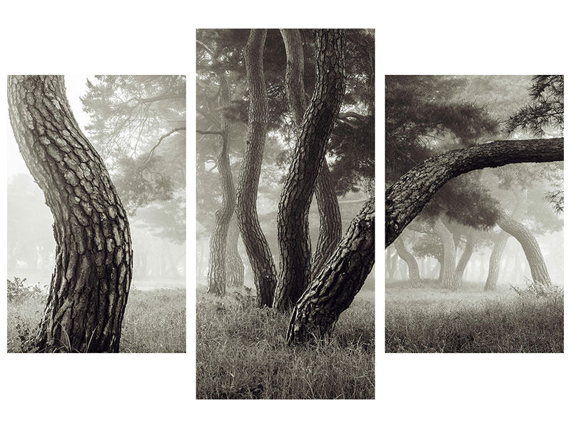 modern-3-piece-canvas-print-pine-grove-in-fog