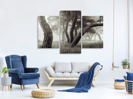 modern-3-piece-canvas-print-pine-grove-in-fog