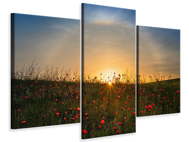 modern-3-piece-canvas-print-red-poppies-and-sunrise