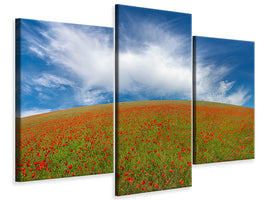 modern-3-piece-canvas-print-red-poppies