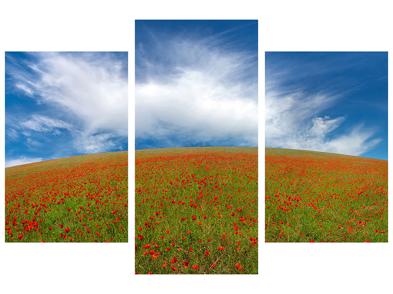 modern-3-piece-canvas-print-red-poppies