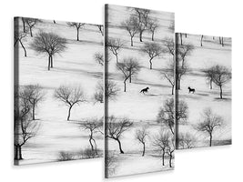 modern-3-piece-canvas-print-run