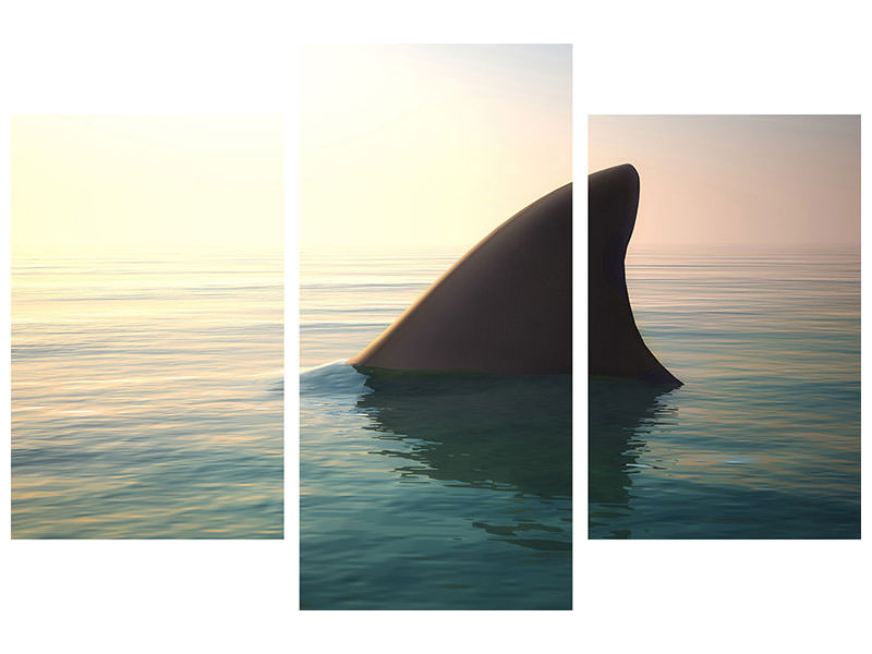 modern-3-piece-canvas-print-shark-fin
