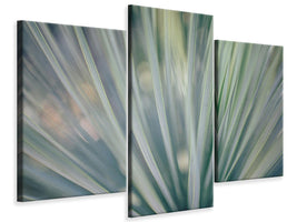 modern-3-piece-canvas-print-strip-of-plant