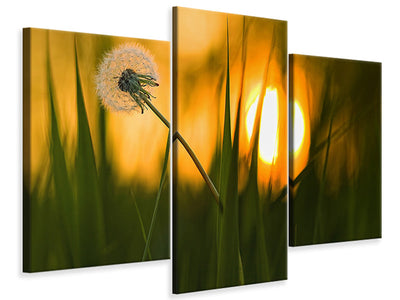 modern-3-piece-canvas-print-sunbathing