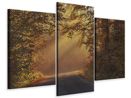 modern-3-piece-canvas-print-sunbeams-in-the-forest