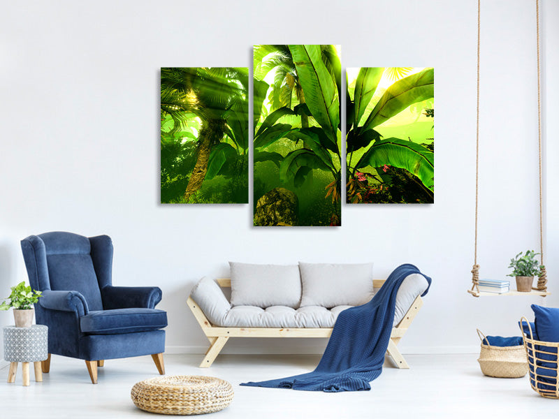 modern-3-piece-canvas-print-sunrise-in-the-rainforest