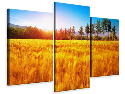 modern-3-piece-canvas-print-the-autumn