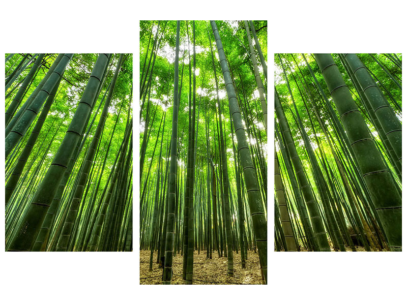 modern-3-piece-canvas-print-the-bamboo-forest