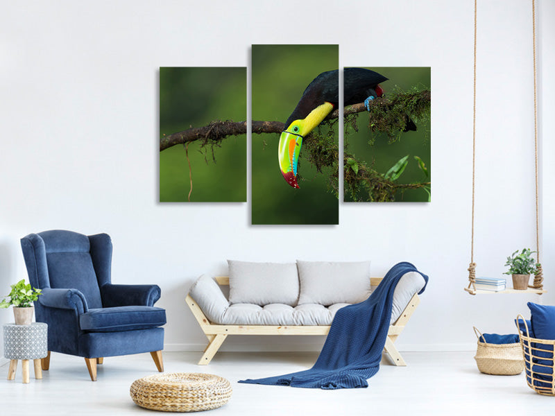 modern-3-piece-canvas-print-the-colors-of-costa-rica