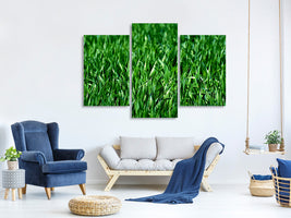 modern-3-piece-canvas-print-the-meadow-in-xl