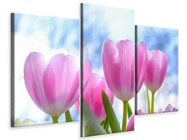 modern-3-piece-canvas-print-tulips-in-nature