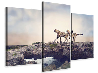 modern-3-piece-canvas-print-two-cheetahs