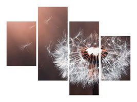 modern-4-piece-canvas-print-dandelion-in-the-evening-light