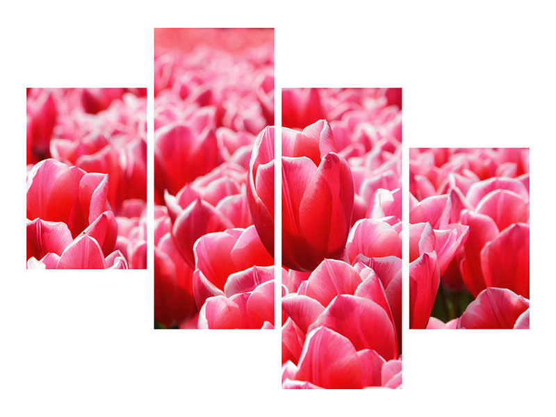 modern-4-piece-canvas-print-happy-tulip-field