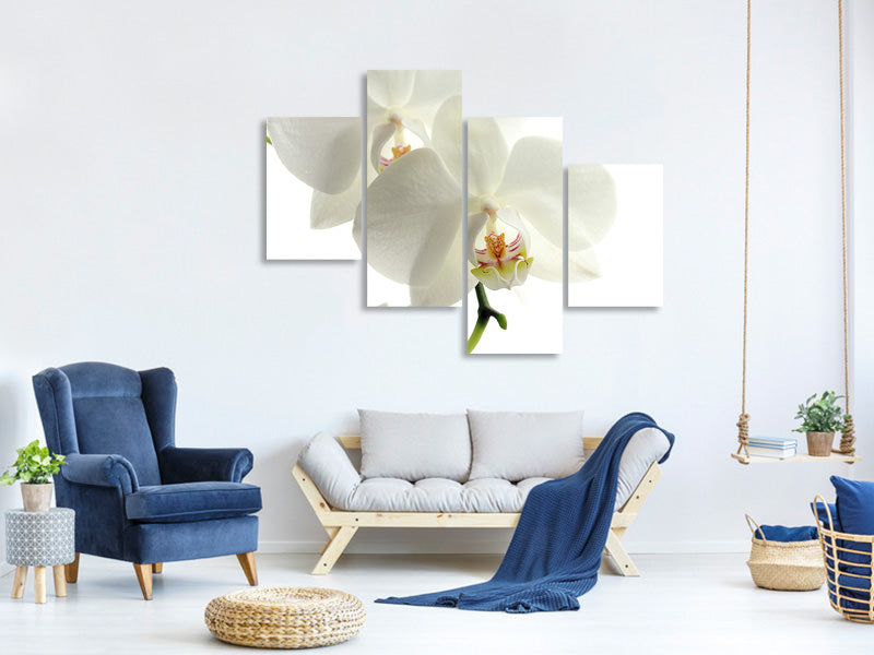 modern-4-piece-canvas-print-orchids-bloom