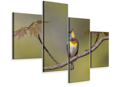 modern-4-piece-canvas-print-parula-on-stage
