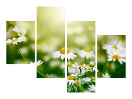 modern-4-piece-canvas-print-the-daisy