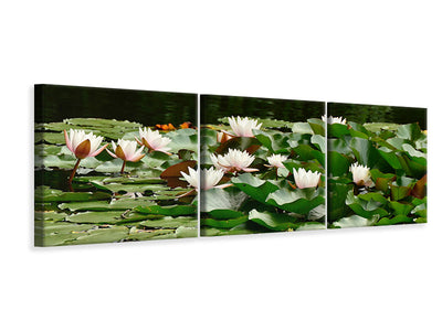 panoramic-3-piece-canvas-print-a-field-full-of-water-lilies